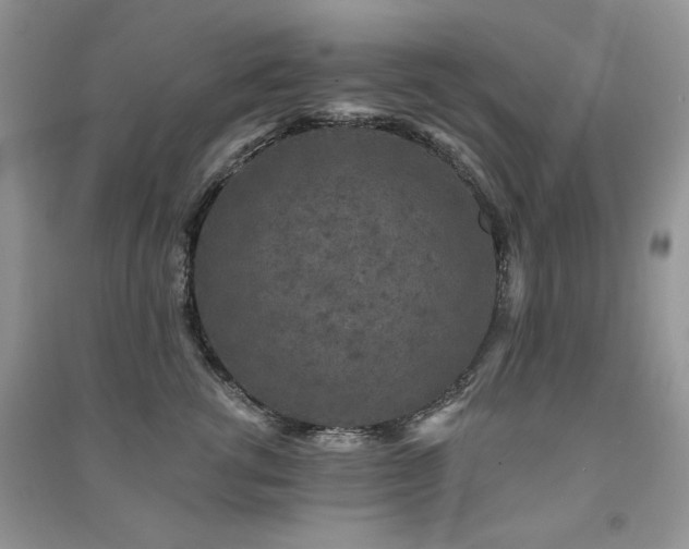 X0000091210762200708091347