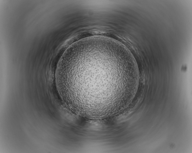 X0000091210763200708091347