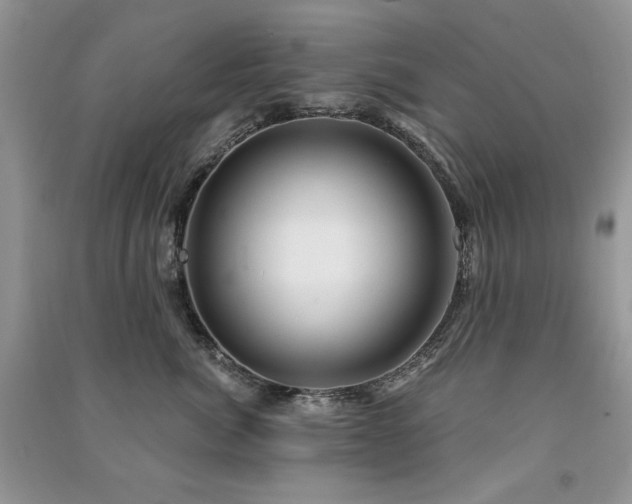 X0000091210764200708091347