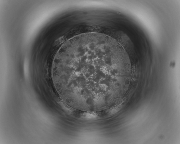 X0000091210765200708091347