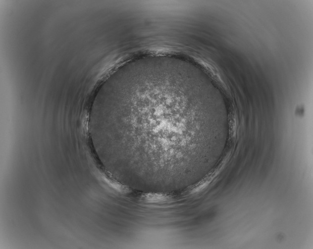 X0000091210766200708091347