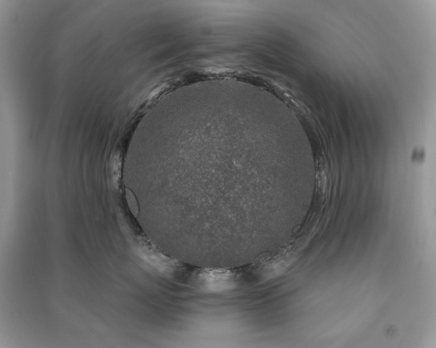 X0000091210767200708091347