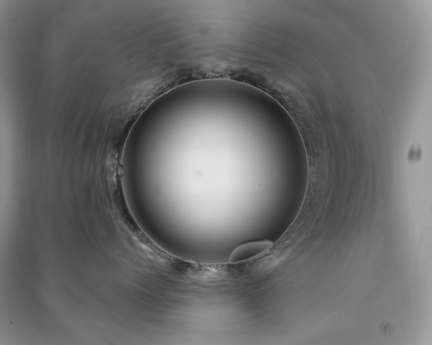 X0000091210768200708091347