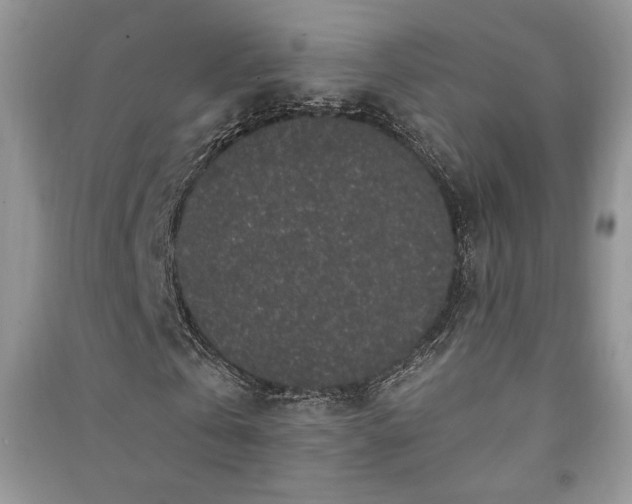 X0000091210769200708091346