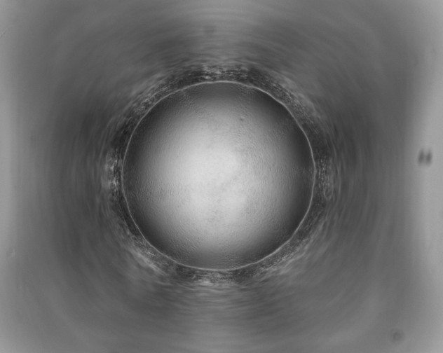 X0000091210770200708091346