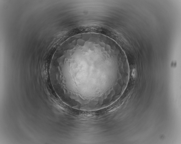X0000091210771200708091346