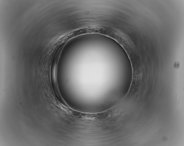 X0000091210773200708091346