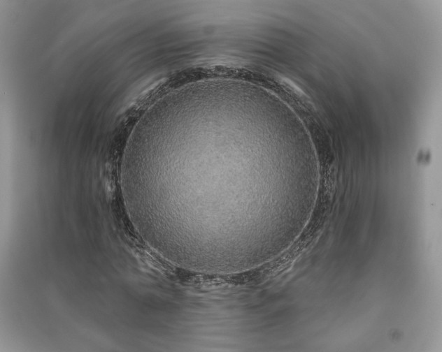 X0000091210774200708091346