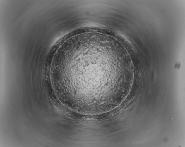 X0000091210775200708091346