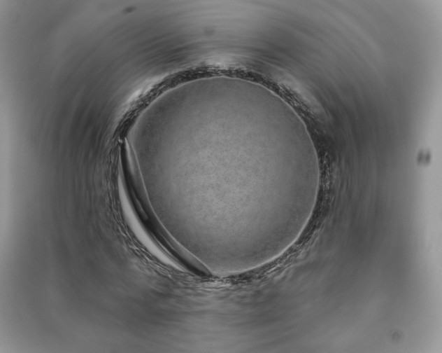 X0000091210776200708091346