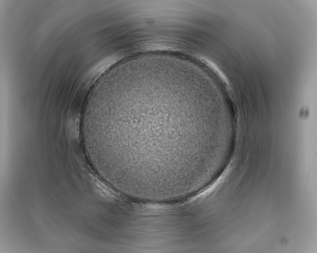 X0000091210777200708091346