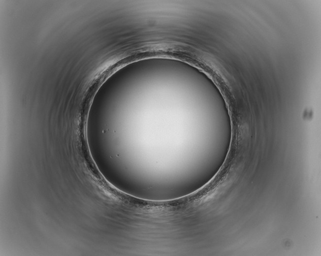 X0000091210778200708091346