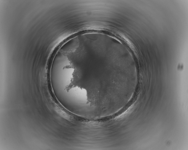 X0000091210779200708091346