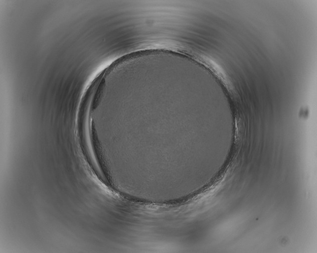 X0000091210780200708091346