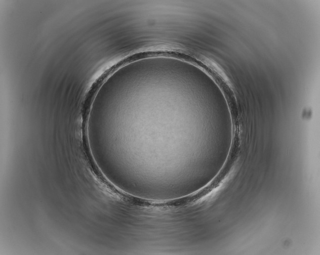 X0000091210781200708091346