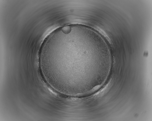 X0000091210782200708091346