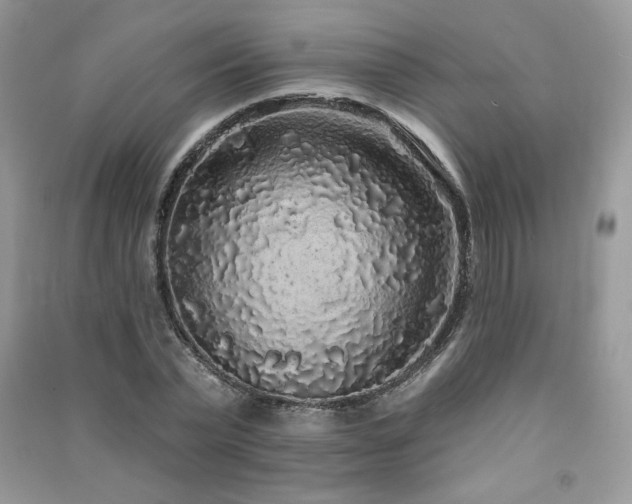X0000091210783200708091346