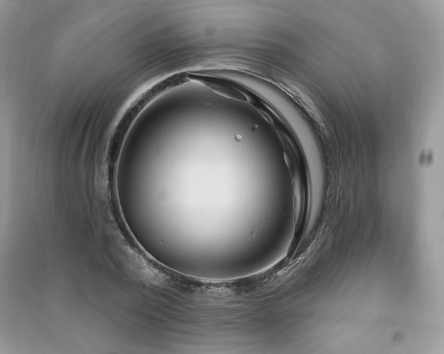X0000091210784200708091346