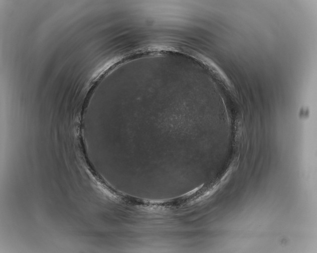 X0000091210785200708091346