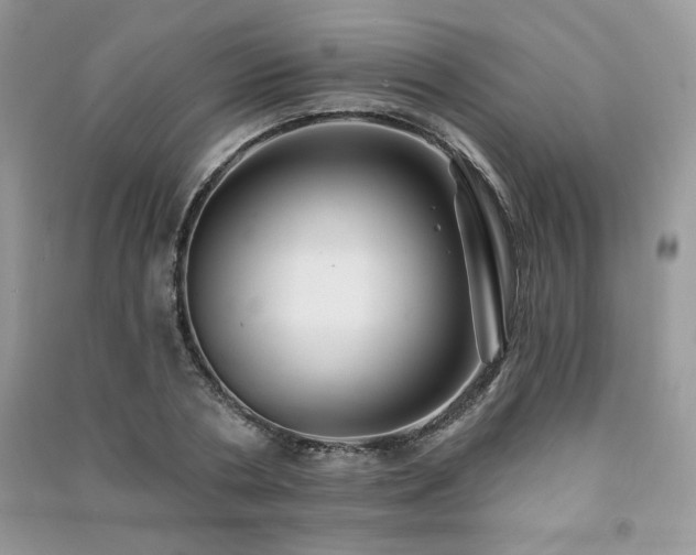 X0000091210786200708091346
