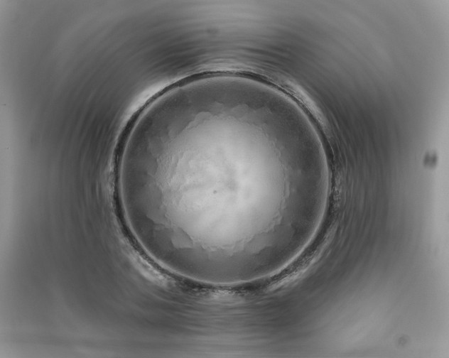 X0000091210787200708091346
