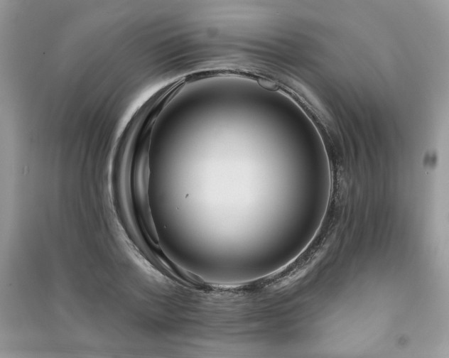 X0000091210788200708091346