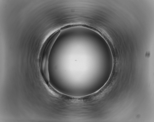 X0000091210789200708091346