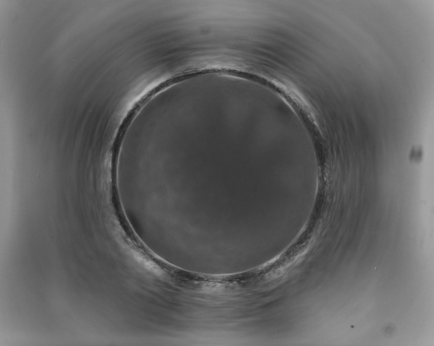 X0000091210790200708091346