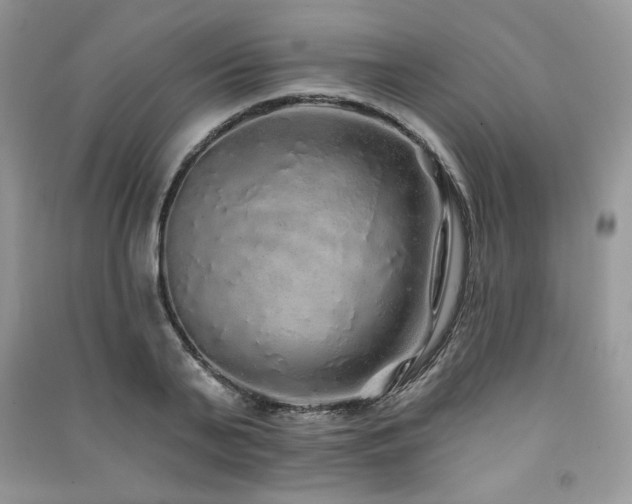 X0000091210791200708091346