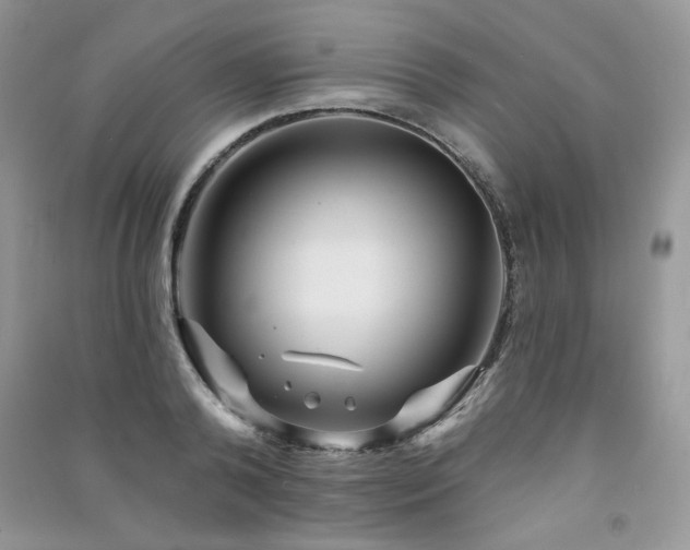 X0000091210792200708091346