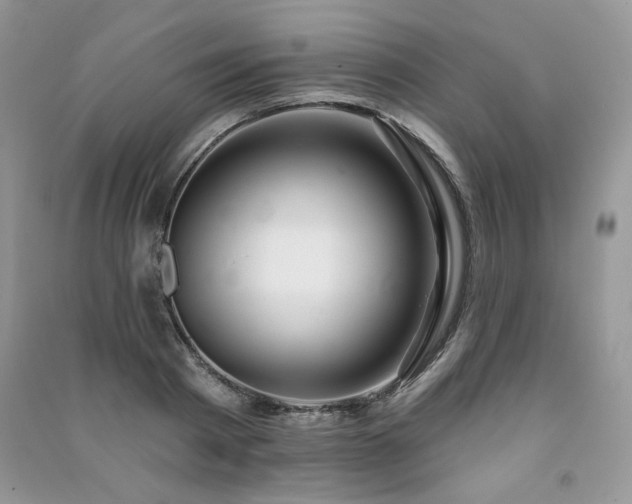 X0000091210793200708091346