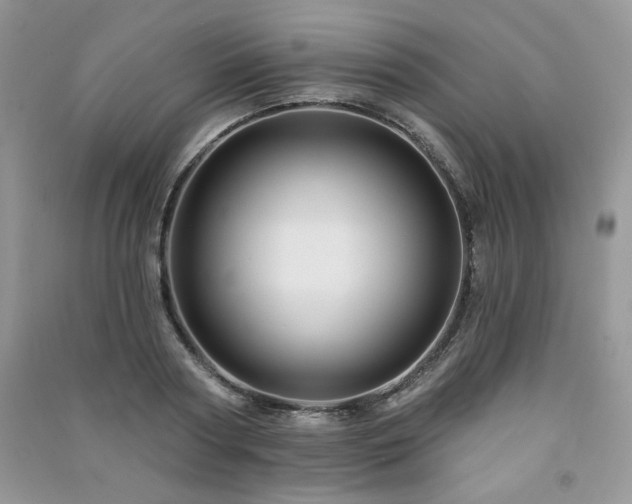 X0000091210794200708091346