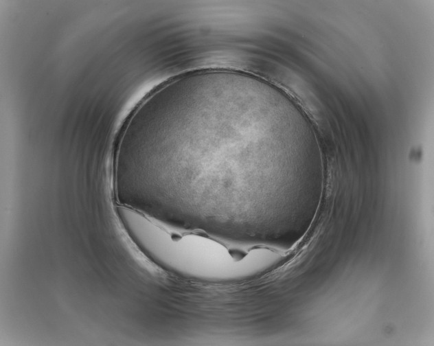 X0000091210796200708091346