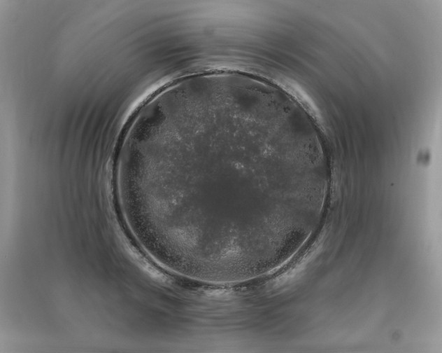X0000091210798200708091346