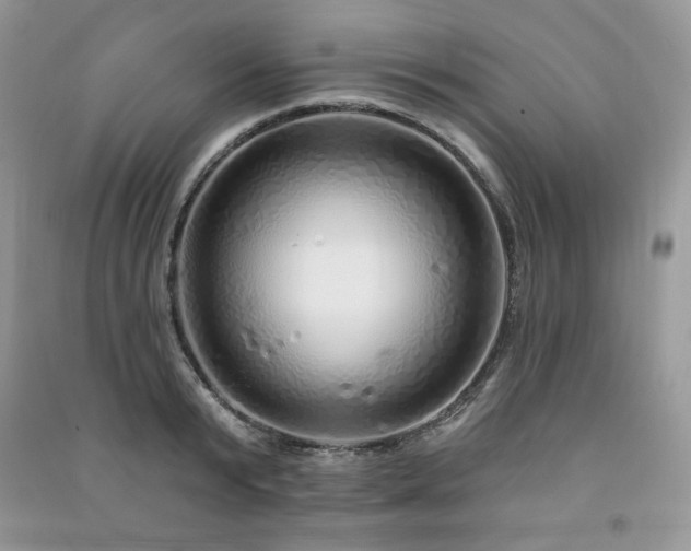 X0000091210799200708091346