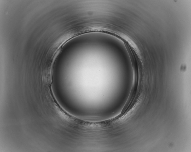 X0000091210801200708091346
