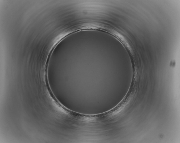 X0000091210802200708091346