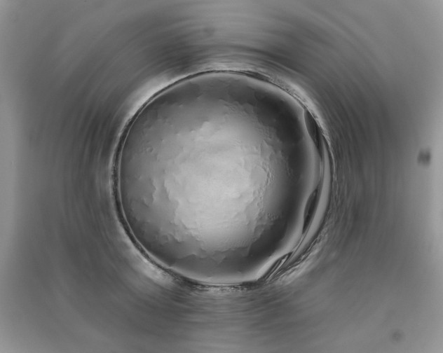 X0000091210803200708091346