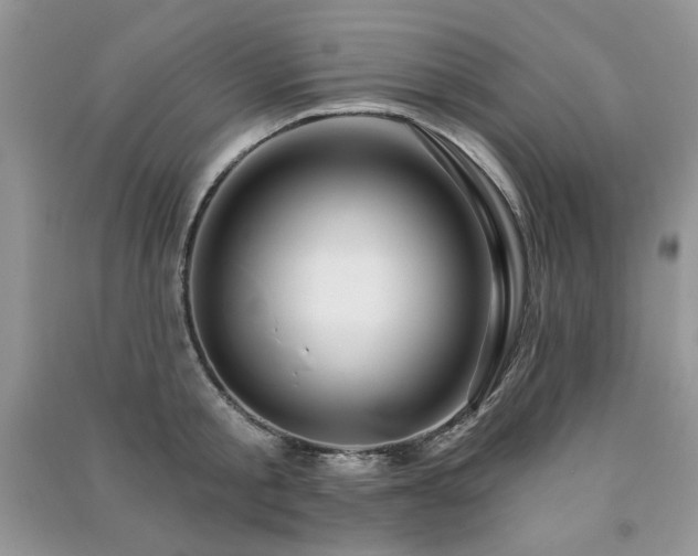 X0000091210805200708091346