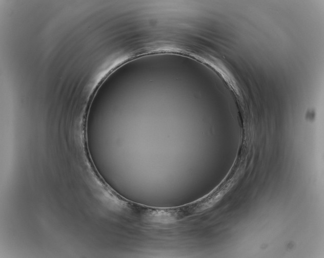X0000091210806200708091346