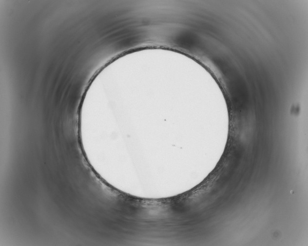 X0000091210807200708091346