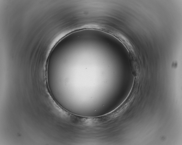 X0000091210808200708091346