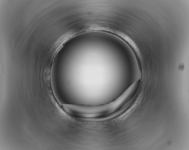 X0000091210809200708091346