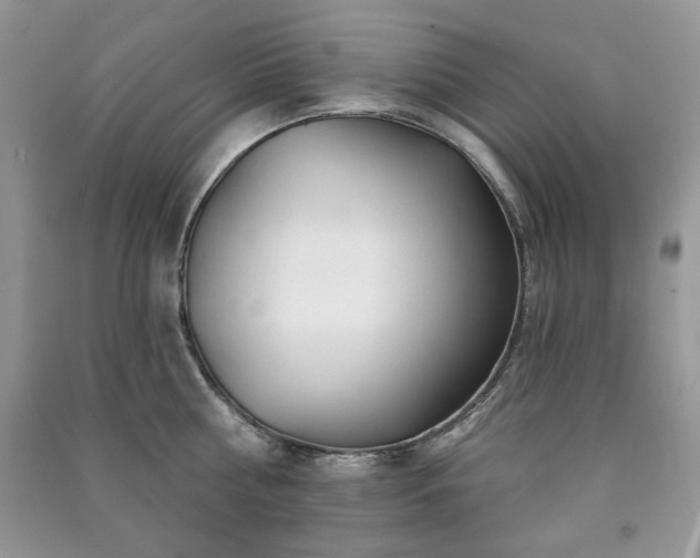X0000091210810200708091346
