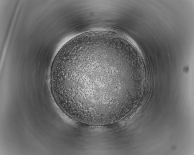 X0000091210811200708091346