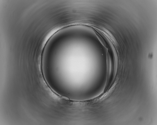 X0000091210812200708091346
