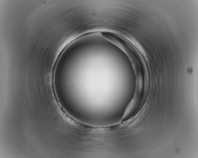 X0000091210813200708091346