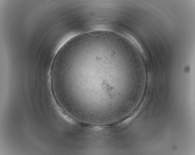 X0000091210814200708091346