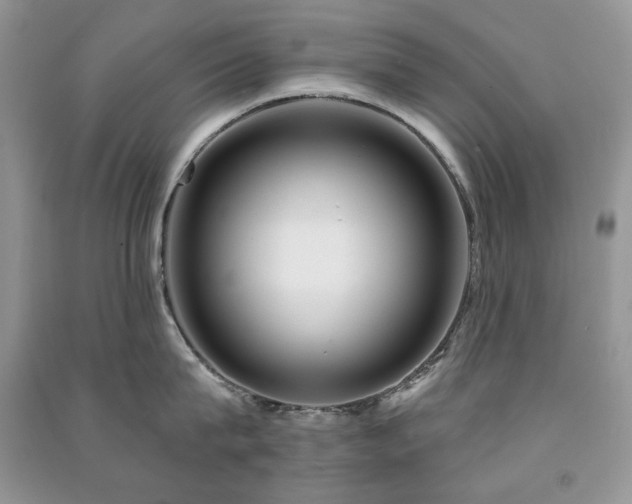 X0000091210815200708091346