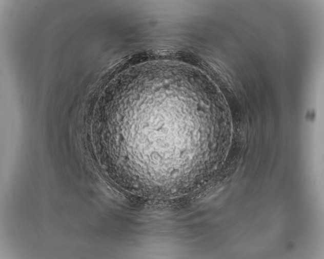 X0000091210817200708091345
